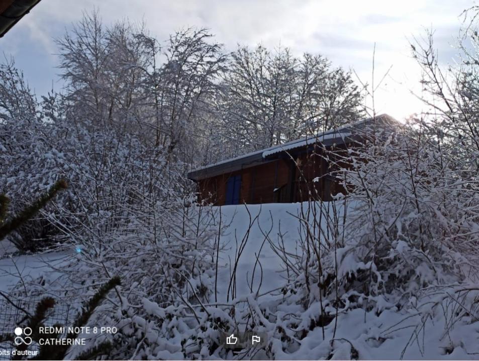 Villa Les abris de la hulotte à Anould Extérieur photo